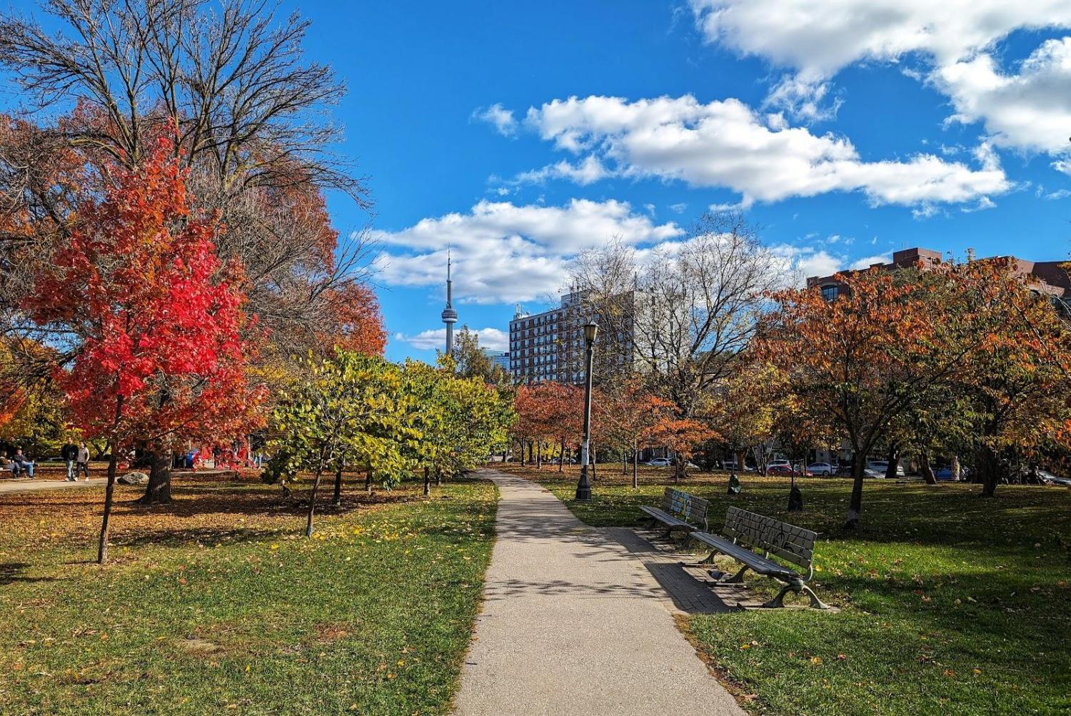 Bellwood Park neighbourhood